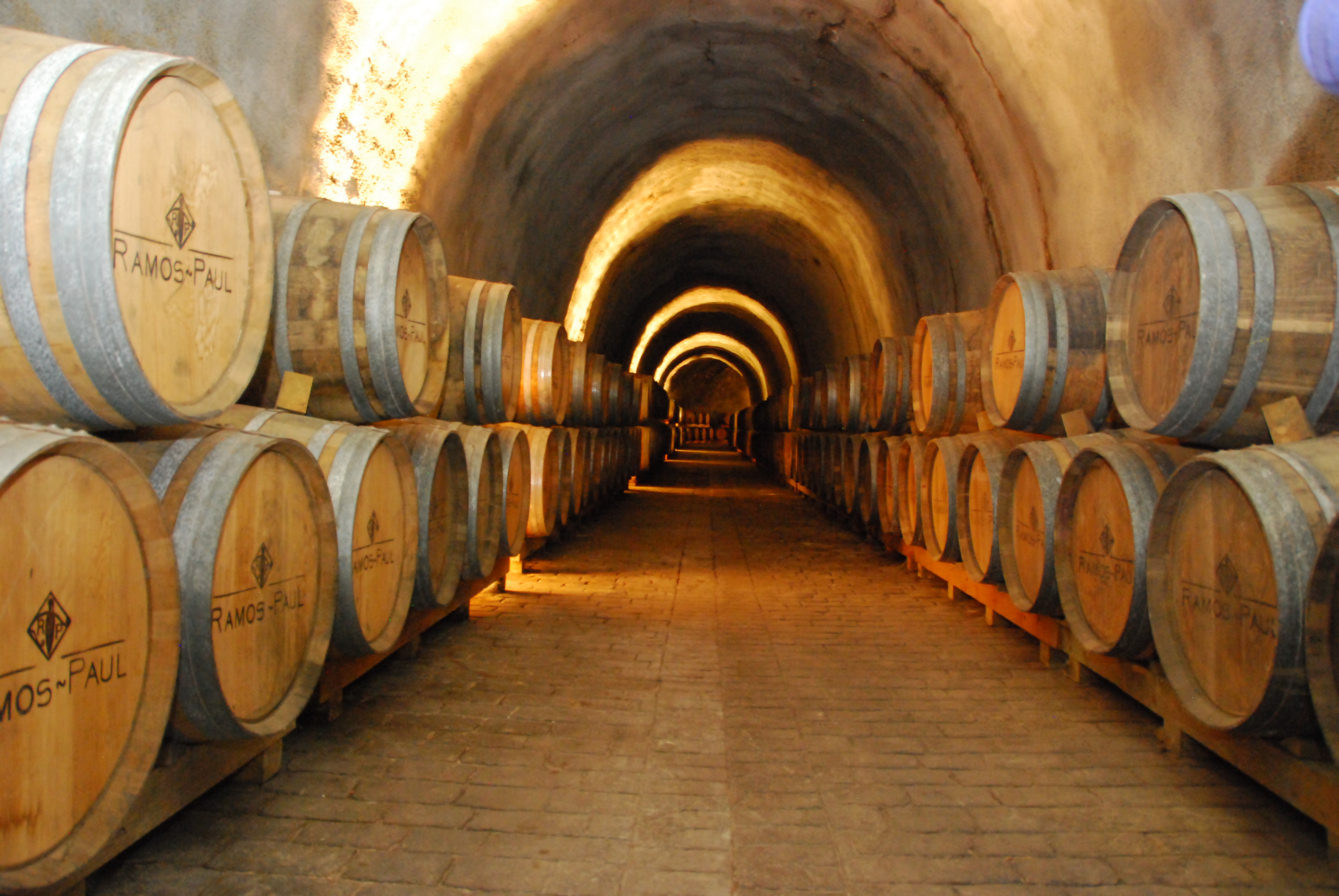 Bodegas de vino en Málaga, visita guiada